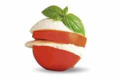 tomato-copy_1381757405_1386339704